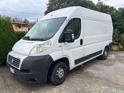 Bianco Usata 2008 Fiat Ducato Furgone | 5900 € (Super prezzo)
