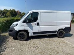 Bianco Usata 2020 Fiat Ducato Furgone | 16.000 € (Ottimo prezzo)