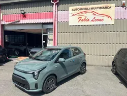 Verde Nuova 2025 Kia Picanto Urban Due volumi | 11.890 € (Super prezzo)