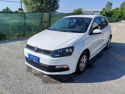 Bianco Usata 2015 VW Polo Trendline Due volumi | 7500 € (Ottimo prezzo)