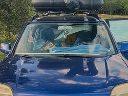 Blu Usata 2004 Nissan X-Trail SUV | 1500 € (Ottimo prezzo)