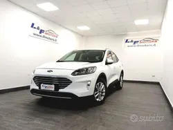 Bianco Usata 2023 Ford Kuga Titanium SUV | 21.900 € (Super prezzo)