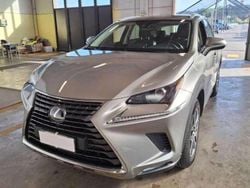 Grigio Usata 2020 Lexus NX300h Executive Line SUV | 27.400 € (Buon prezzo)