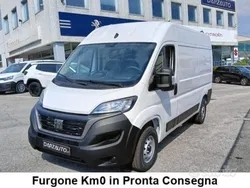 Bianco pastello Nuova 2024 Fiat Ducato Furgone | 24.990 € (Super prezzo)