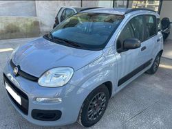 Grigio Usata 2020 Fiat Panda Launch Edition Due volumi | 8990 € (Ottimo prezzo)