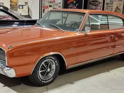 Bronzo Usata 1967 Dodge Charger Tre volumi | 45.000 €
