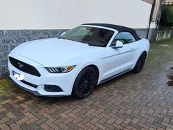 Bianco Usata 2016 Ford Mustang Fastback Cabrio | 27.450 € (Super prezzo)