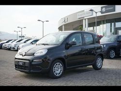 601 Usata 2024 Fiat Panda S Due volumi | 13.900 € (Cara)