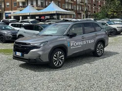 Grigio Usata 2024 Subaru Forester Premium SUV | 41.500 € (Cara)