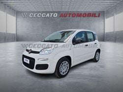 Bianco Nuova 2025 Fiat Grande Panda Icon Due volumi | 13.950 € (Ottimo prezzo)