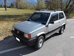 Argento Usata 2003 Fiat Panda 4x4 Trekking Due volumi | 8000 € (Cara)