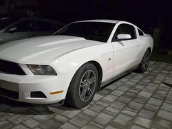 Bianco Usata 2010 Ford Mustang Coupé | 20.500 € (Buon prezzo)
