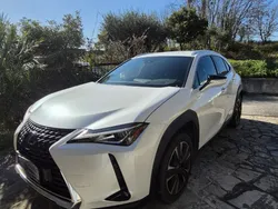 Usata 2020 Lexus UX 250h SUV | 19.900 € (Buon prezzo)