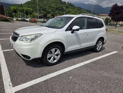 Usata 2013 Subaru Forester Comfort SUV | 8500 € (Buon prezzo)