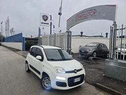 Bianco Usata 2016 Fiat Panda Lounge Tre volumi | 7000 € (Buon prezzo)