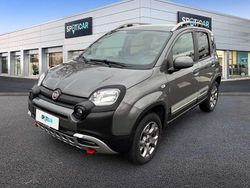 Grigio Usata 2020 Fiat Panda Cross Cross Due volumi | 14.000 € (Buon prezzo)