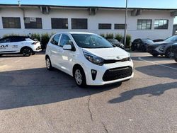 Grigio Usata 2020 Kia Picanto Active Due volumi | 10.900 € (Buon prezzo)