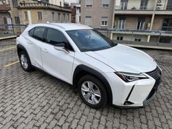 Bianco perla met. Usata 2022 Lexus UX 250h Business Edition SUV | 20.800 € (Super prezzo)