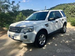 Bianco Usata 2011 Land Rover Freelander 2 SUV | 7000 € (Buon prezzo)