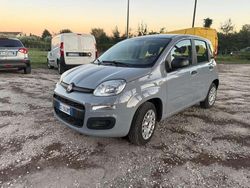 Grigio Usata 2020 Fiat Panda Easy Due volumi | 9950 € (Buon prezzo)