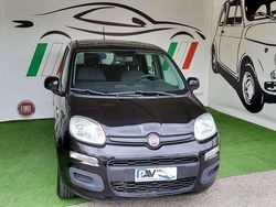 Nero Usata 2020 Fiat Panda Easy Due volumi | 9099 € (Ottimo prezzo)