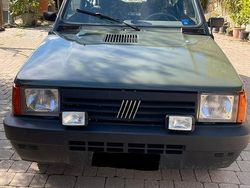 Verde Usata 2002 Fiat Panda 4x4 Due volumi | 10.000 € (Molto cara)