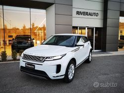 Bianco Usata 2019 Land Rover Range Rover evoque S SUV | 29.900 € (Molto cara)