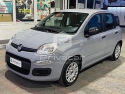 Grigio Usata 2019 Fiat Panda Easy Due volumi | 6700 € (Ottimo prezzo)