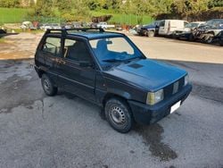 Marrone Usata 1992 Fiat Panda 4x4 Club Due volumi | 5499 €