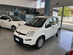 Bianco Usata 2024 Fiat Panda Due volumi | 14.500 € (Cara)