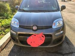 Grigio Usata 2020 Fiat Panda Due volumi | 8300 € (Buon prezzo)