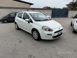 Bianco Usata 2016 Fiat Punto Lounge Tre volumi | 6600 € (Buon prezzo)