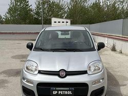 Argento Usata 2020 Fiat Panda Easy Due volumi | 8900 € (Buon prezzo)
