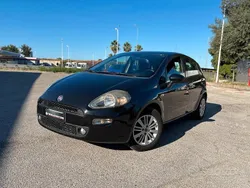 Nero Usata 2014 Fiat Punto Lounge Due volumi | 3700 € (Buon prezzo)