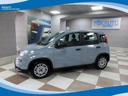 Gray Usata 2023 Fiat Panda Tre volumi | 10.900 € (Buon prezzo)