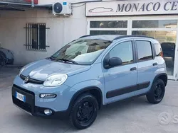 Grigio Usata 2019 Fiat Panda 4x4 S Due volumi | 14.900 € (Cara)
