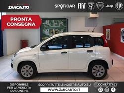 Bianco Usata 2020 Fiat Panda Pop Tre volumi | 8700 € (Ottimo prezzo)