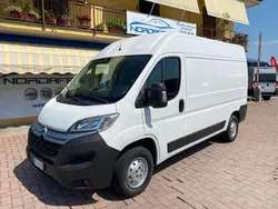 Bianco Usata 2019 Citroën Jumper Monovolume | 14.200 € (Ottimo prezzo)
