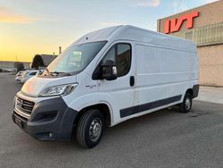 Bianco Usata 2016 Fiat Ducato Furgone | 11.600 € (Ottimo prezzo)