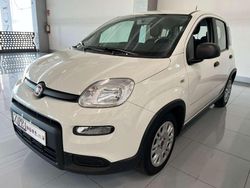 Bianco Usata 2024 Fiat Panda Tre volumi | 13.800 € (Molto cara)
