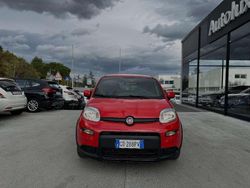 Rosso Usata 2021 Fiat Panda Sport Due volumi | 11.500 € (Buon prezzo)