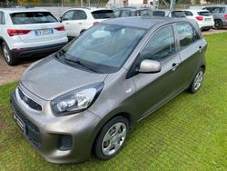 Grigio Usata 2016 Kia Picanto City Due volumi | 6500 € (Buon prezzo)