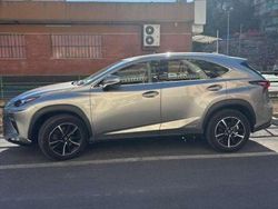 Grigio Usata 2021 Lexus NX300h Business Edition SUV | 26.700 € (Ottimo prezzo)