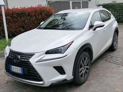 Bianco Usata 2020 Lexus NX300h Executive Line SUV | 27.000 € (Ottimo prezzo)