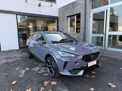 Grigio Usata 2022 Cupra Formentor SUV | 25.000 € (Buon prezzo)