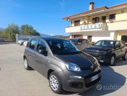 Grigio Usata 2020 Fiat Panda Easy Due volumi | 11.500 € (Cara)