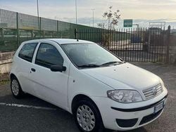 Usata 2009 Fiat Punto Active Tre volumi | 2500 € (Buon prezzo)