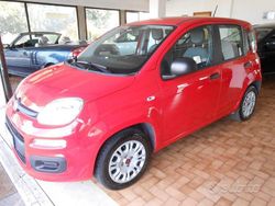 Rosso Usata 2020 Fiat Panda Easy Due volumi | 9300 € (Buon prezzo)