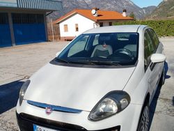 Bianco Usata 2011 Fiat Punto Evo Due volumi | 2900 € (Cara)