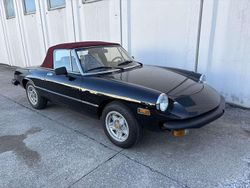Usata 1980 Alfa Romeo Spider Veloce Cabrio | 23.800 €